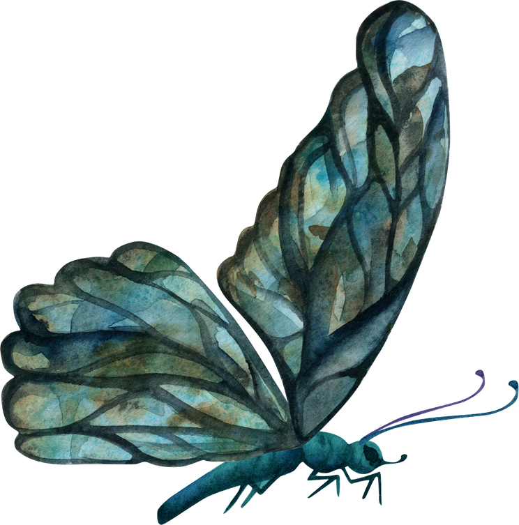 Hand drawn watercolor illustration butterfly wings precious stone jade emerald