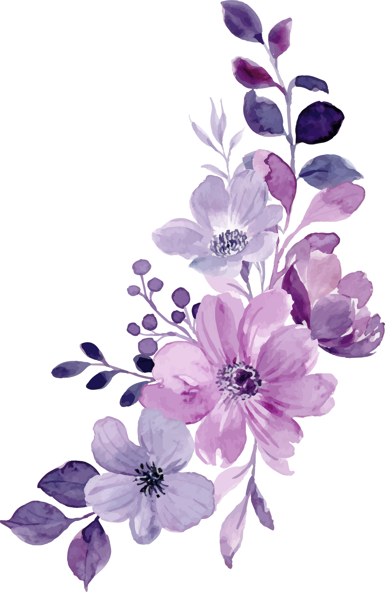 Watercolor purple flower bouquet